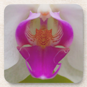 Orchid Hard Plastic Coasters (set of 6)