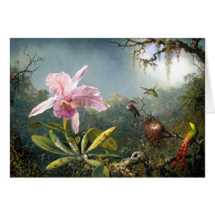 Orchid & Hummingbirds Card