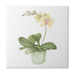 Orchid in a Green Pot Botanical Ceramic Tile