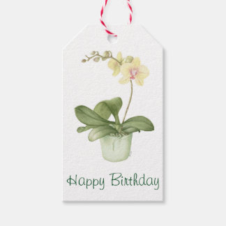 Orchid in Green Pot Botanical Watercolour Gift Tags