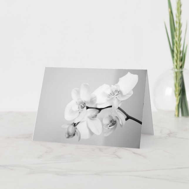 Orchid Invitation (Front)