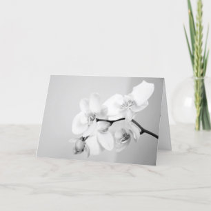 Orchid Invitation