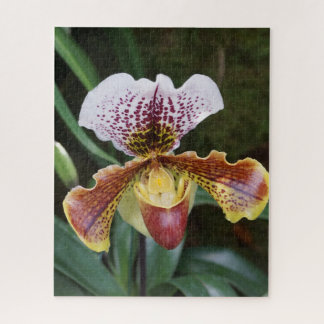 Orchid Jigsaw Puzzle