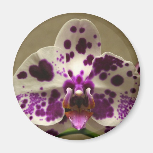 Orchid magnet (Front)