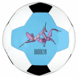 Orchid mantis cartoon illustration football