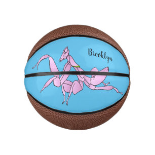 Orchid mantis cartoon illustration  mini basketball