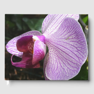 Orchid: Mind Edition Guest Book