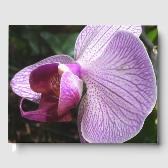 Orchid: Mind Edition Guest Book (Front)