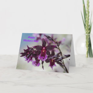 Orchid Mother's Day Card