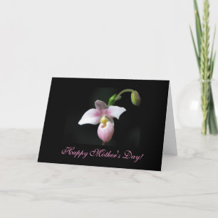 Orchid Mother's Day Greeting Card