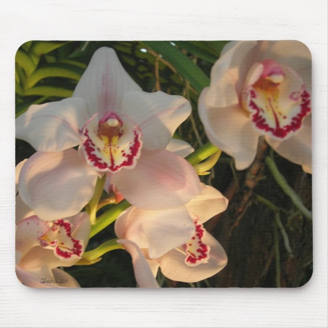 Orchid Mouse Mat (Front)