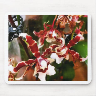 Orchid Mouse Mat