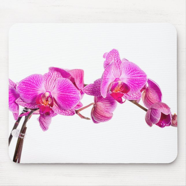 Orchid Mouse Mat (Front)