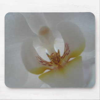 Orchid mousemat