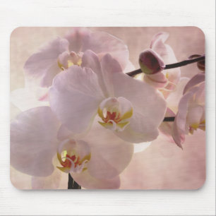 Orchid mousepad