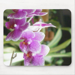 orchid mousepad