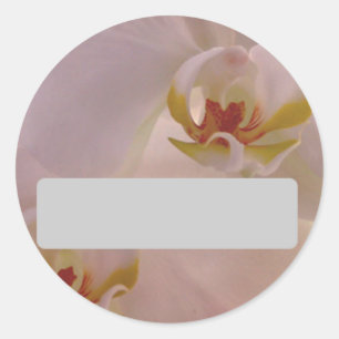 Orchid Name Sticker