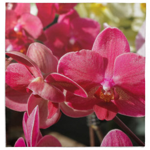 orchid napkin