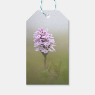 Orchid Nature Photo Gift Tags