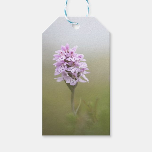 Orchid Nature Photo Gift Tags (Front)