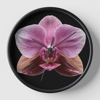 Orchid on Black Background Clock