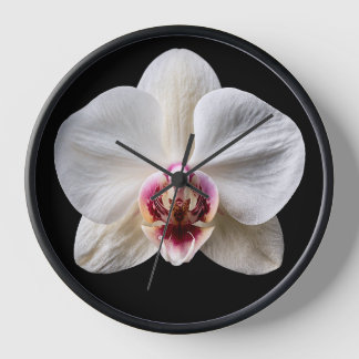 Orchid on Black Background Clock