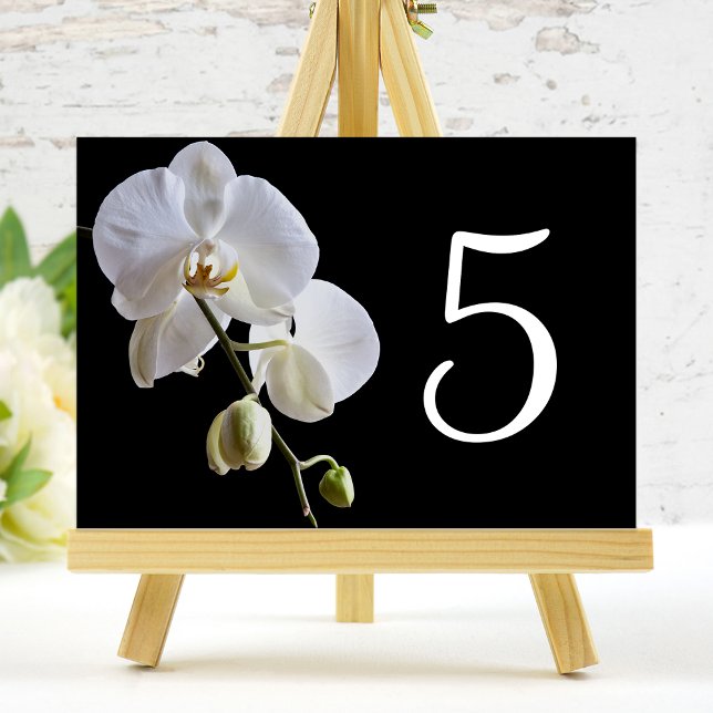 Orchid on Black Table Numbers Postcard (Creator Uploaded)