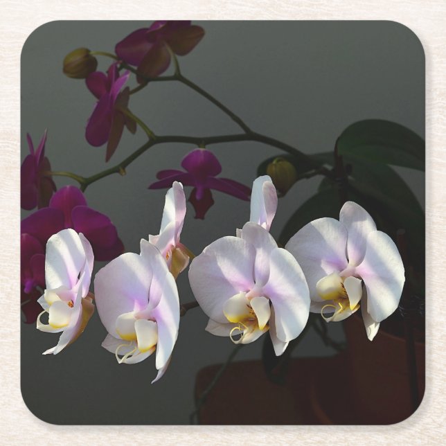 Orchid Paper Coaster (Front)