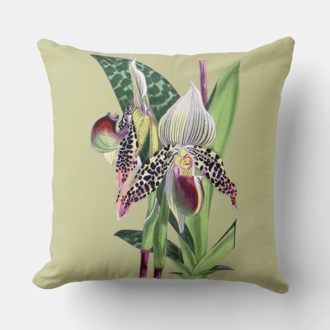 ORCHID (Paphiopedilum Argus) Cushion (Front)