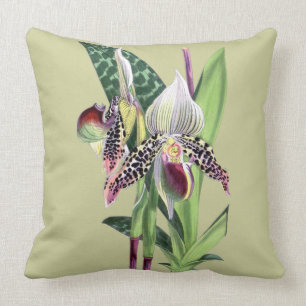 ORCHID (Paphiopedilum Argus) Cushion