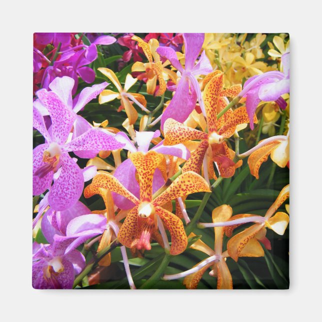 Orchid Party Magnet (Front)