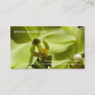 Orchid • Personal Business Card