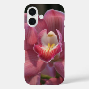 Orchid Petals iPhone Case