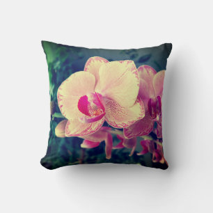 Orchid phalaenopsis ppolka dot pink flowers floral cushion