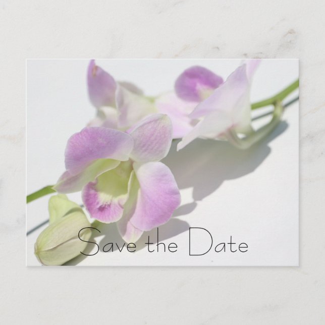 Orchid Photo Save the Date Postcard (Front)