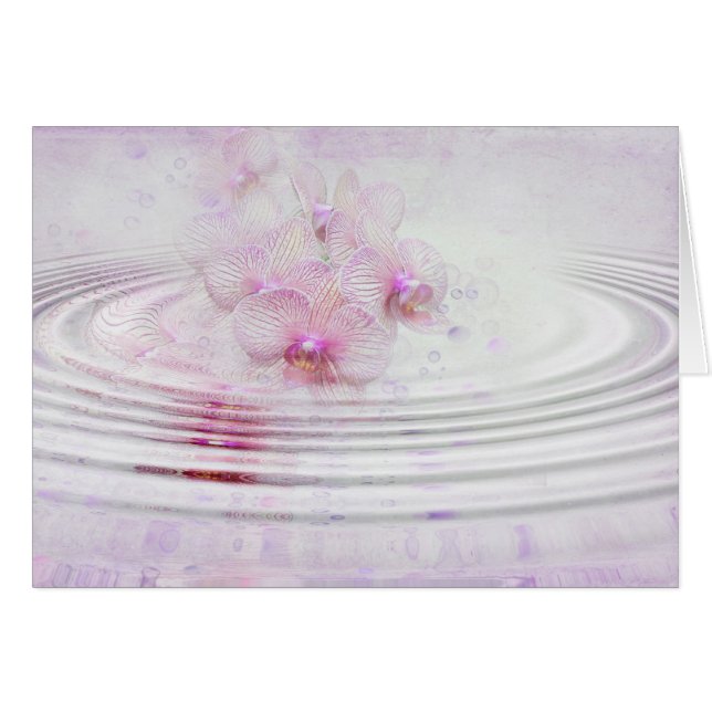 Orchid Pink (Front Horizontal)