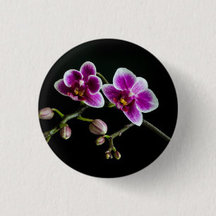 Orchid pink white colour on black pale gentle 3 cm round badge