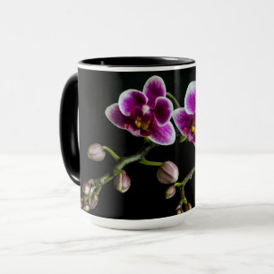 Orchid pink white colour on black pale gentle  mug