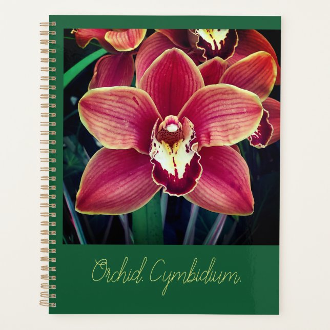 Orchid.  planner (Front)
