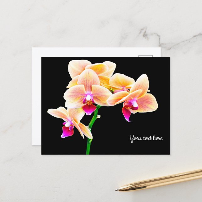 Orchid Postcard (Front/Back In Situ)