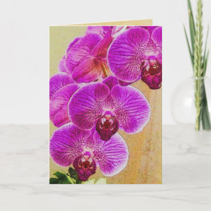 Orchid Promises can be personalised Holiday Card
