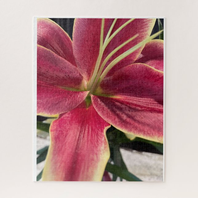 Orchid Puzzle (Vertical)