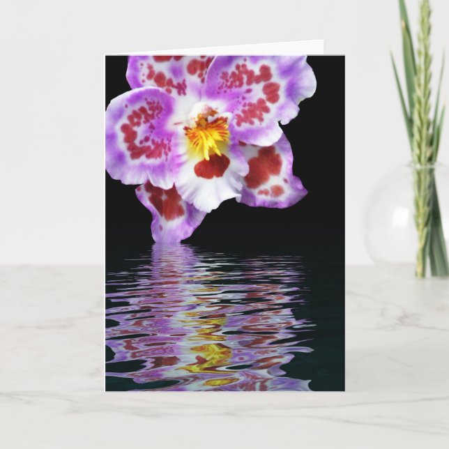 Orchid Reflection Card (Front)