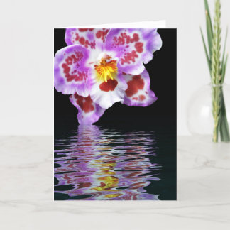 Orchid Reflection Card