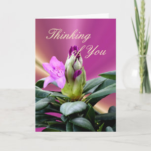 Orchid Rhododendron Buds-customise any occasion Card