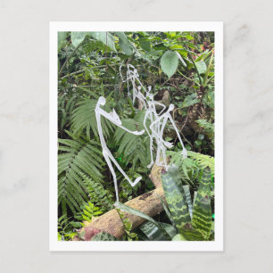 Orchid Room Stick Figures 3 Phipps Conservatory Postcard