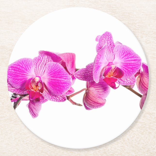 Orchid Round Paper Coaster (Front)