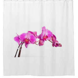 Orchid Shower Curtain