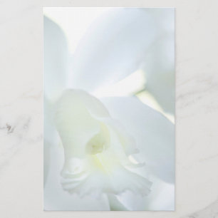 Orchid Stationary Stationery