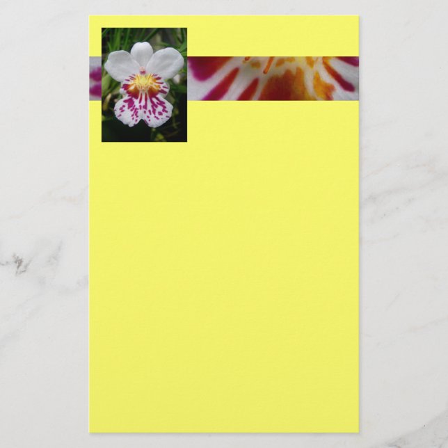 Orchid Stationery (Front)